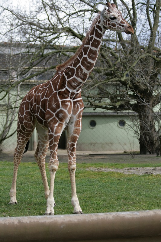 Fotoclubje Blijdorp 2008-68.jpg